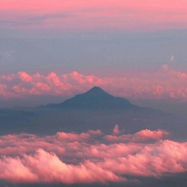 扫一扫加微信 | 国商院论坛